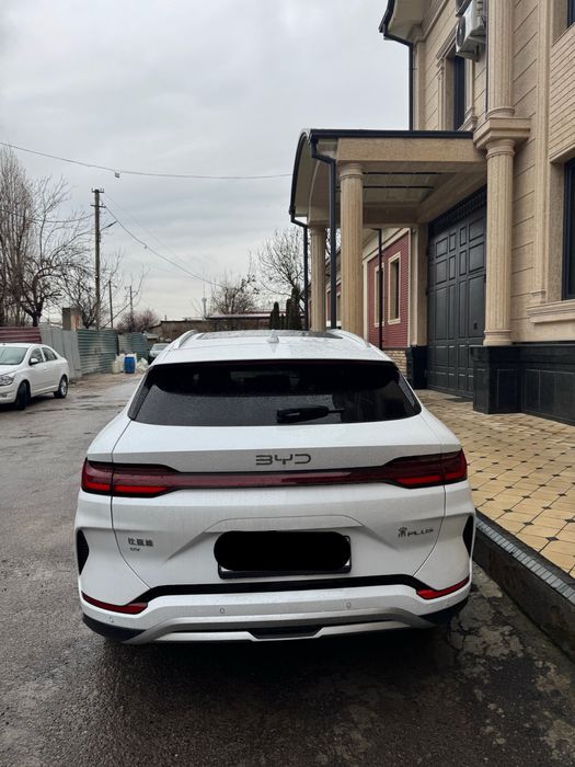 Byd champion restaling