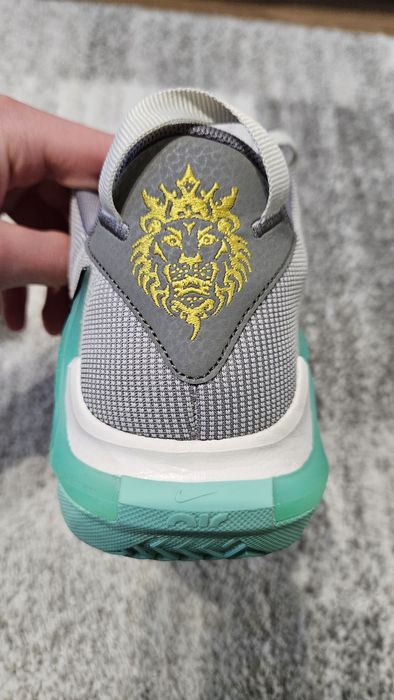 Nike Lebron Witness VII
