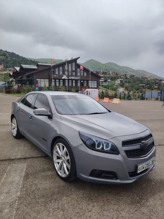 Malibu 1 srochno