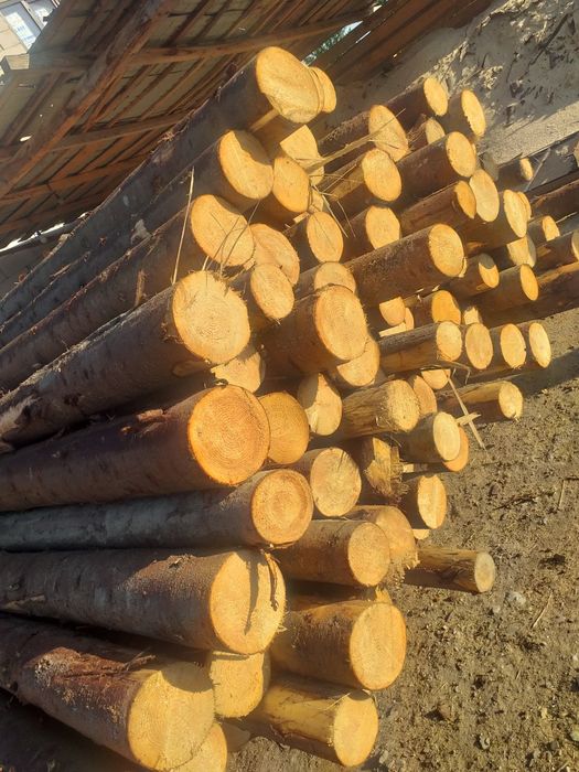 Căpriori rotunzi, bile,lețuri.