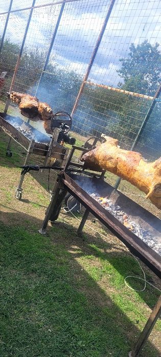 Tudor protap pt evenimentul tău