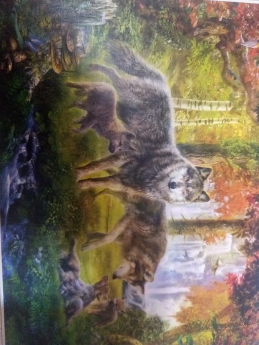 Отдам пазлы зп 1000т