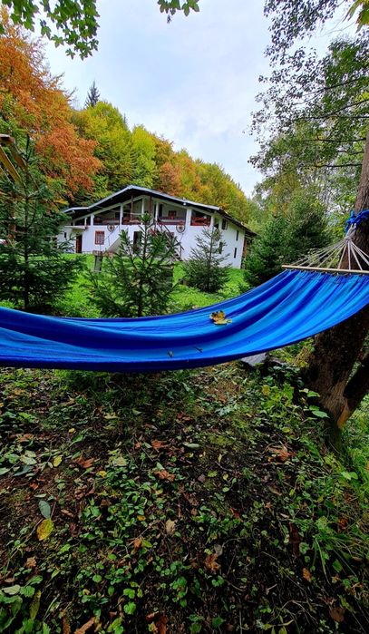 Cabana de închiriat/ Cazare