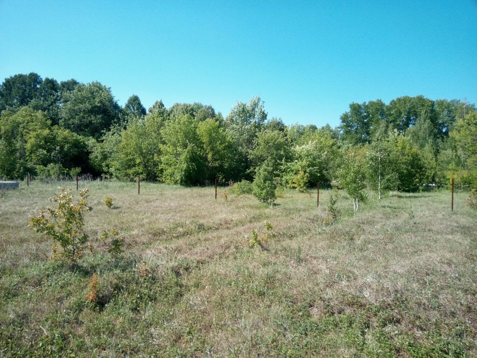 Земельный участок