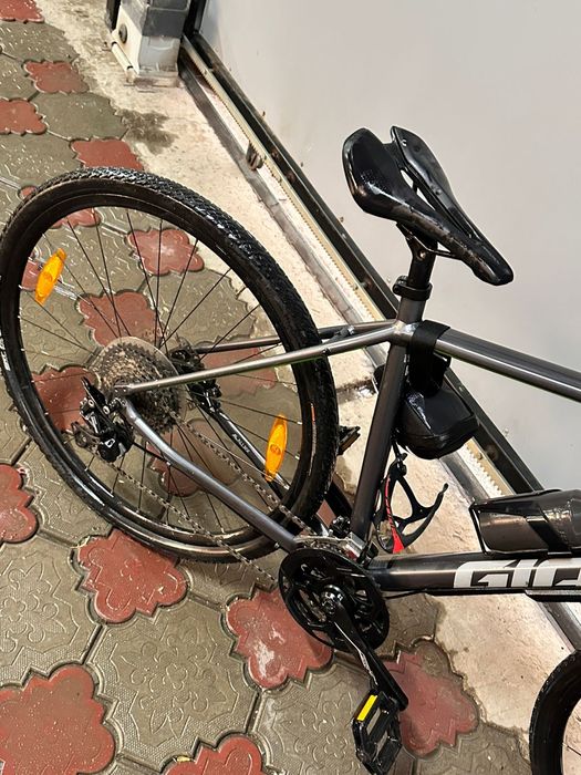 Giant roam L1.   .