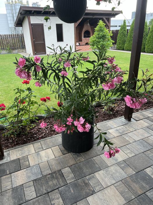 De vãnzare casã modernã pe un nivel gata mobilat