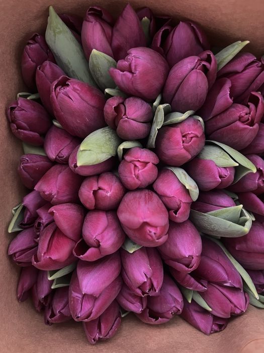 Тюльпаны с доставкой