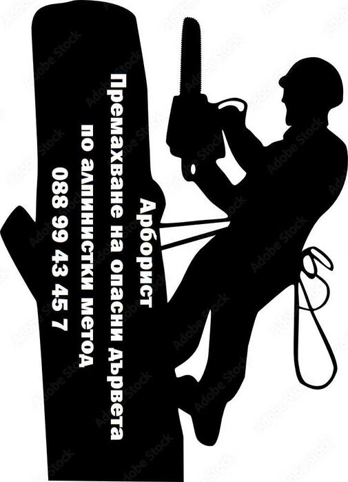 Премахване на опасни дървета Кастрене по алпинистки метод. Арборист.