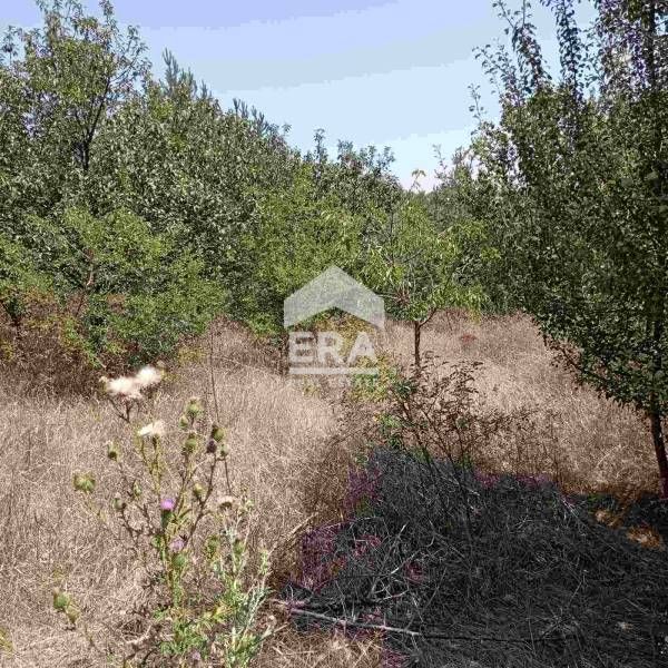 ЕРА Фаворит предлага парцел в гр. Костинброд