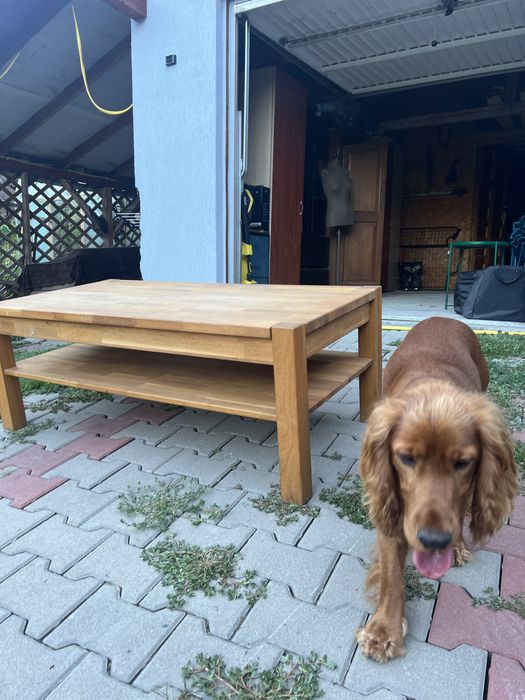 Masa cafea stejar masiv