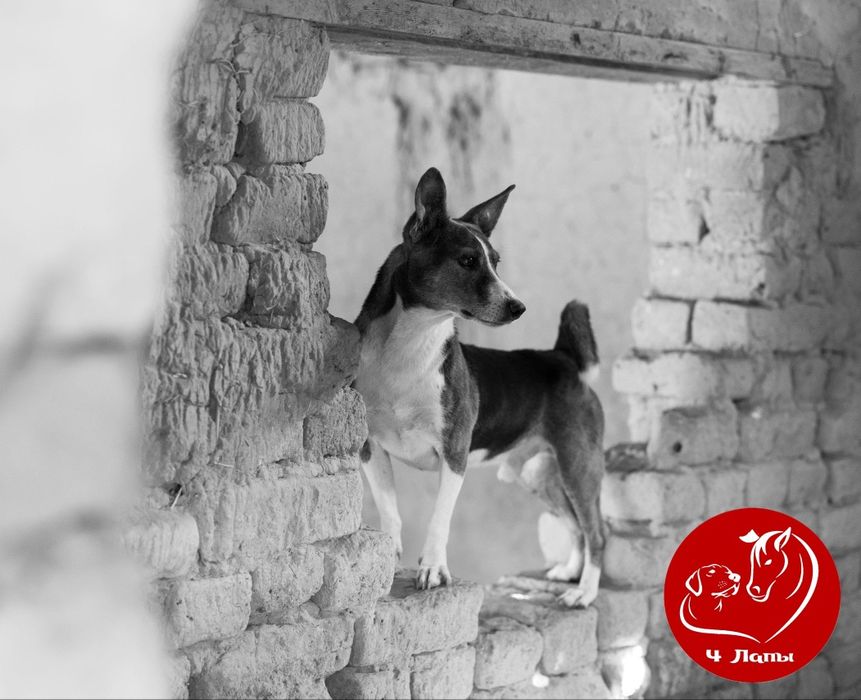 Мама и папа где ты