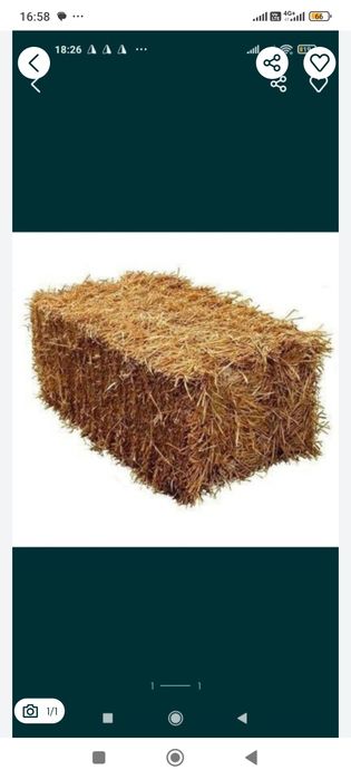 Дурушта прес сотилади