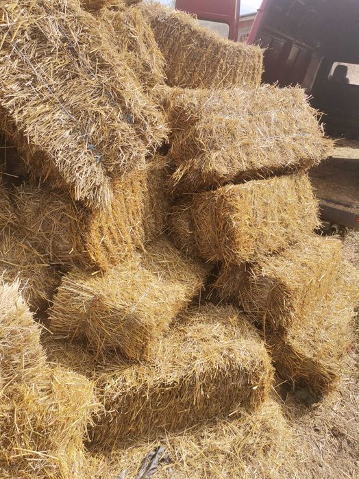 Малки Бали - СЛАМА Просо