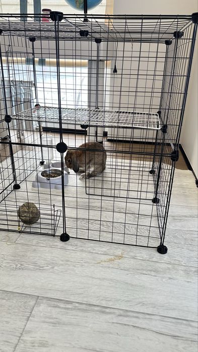 Продам кролика вместе с клеткой