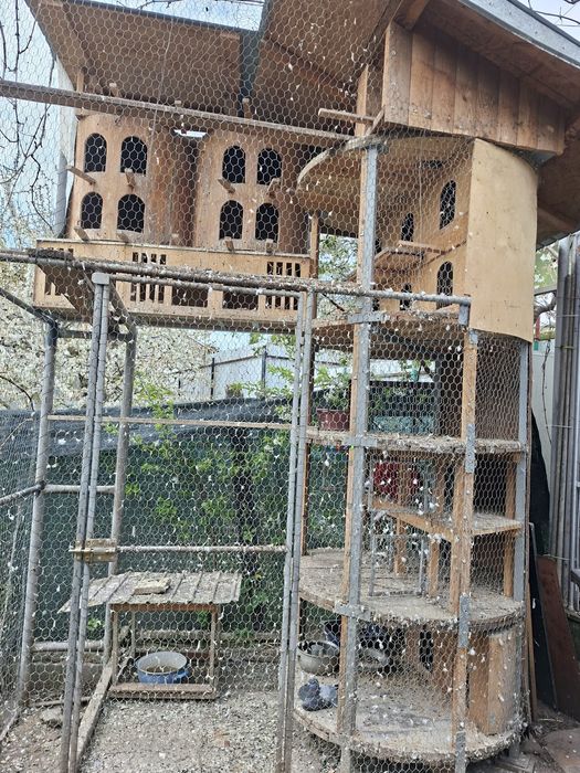 Voliera pasari de vanzare