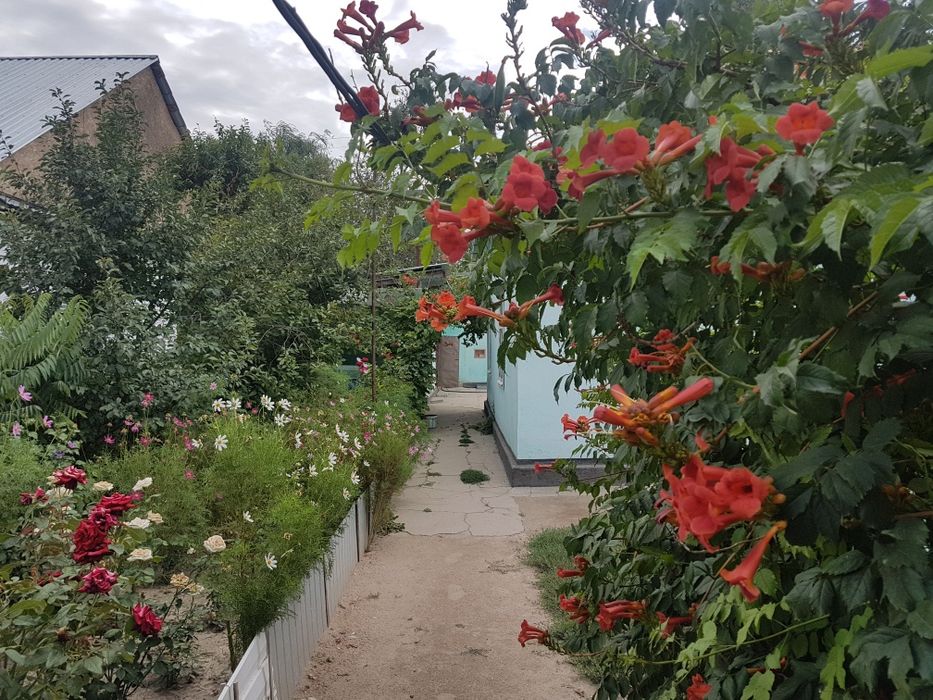 Продам дом в Акыртобе