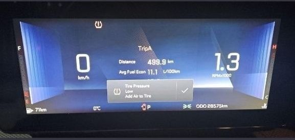Монза халол насия савдога берилади