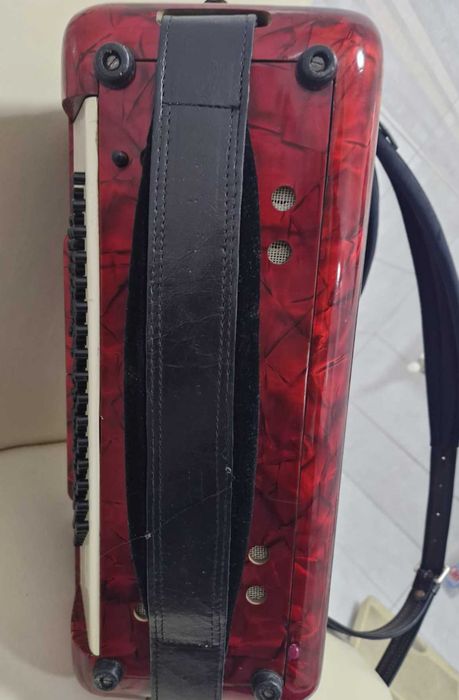 Acordeon Parrot  96 basi roau