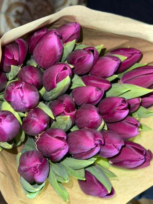 Тюльпаны на 8 марта