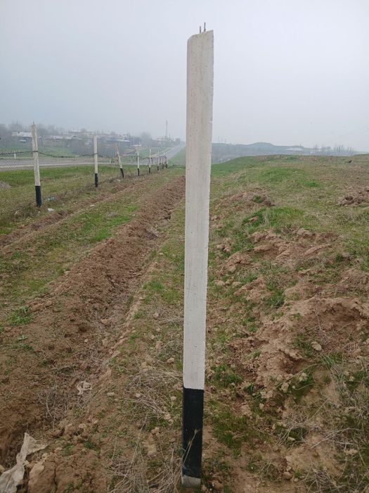 Шпалер , порсинка . бетон стойка