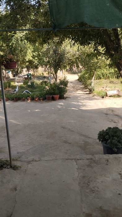 Uy sotiladi srochna 90000 tinchlikda