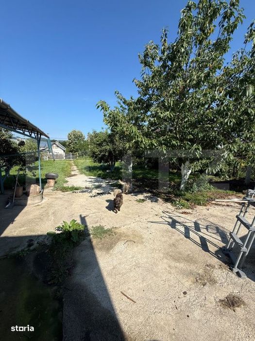 Casa P+1+M, 197 mp, teren 2.714 mp, zona Pucioasa