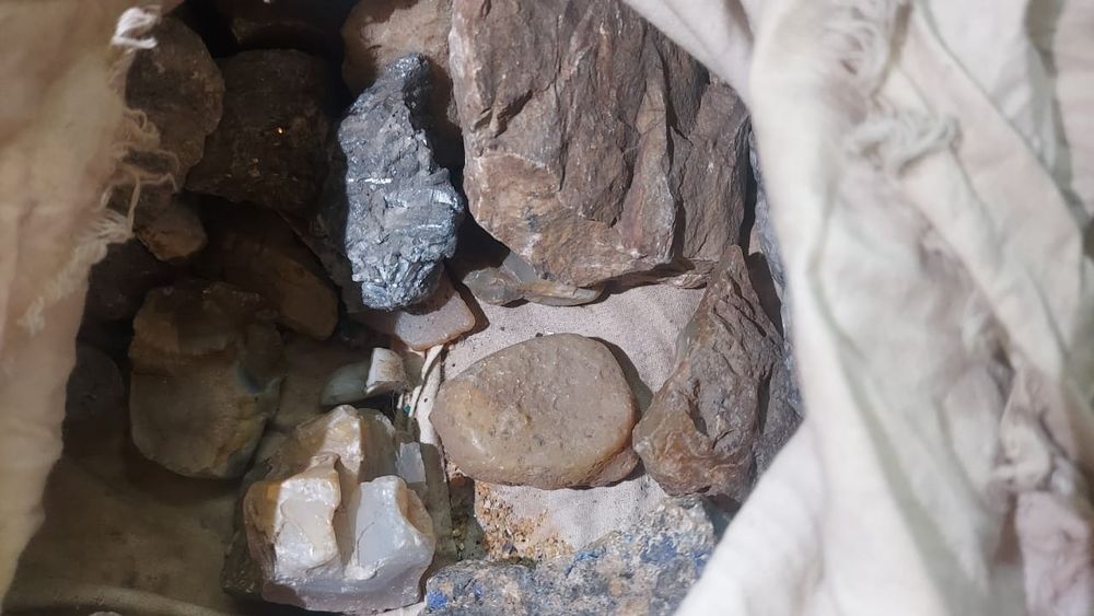 Продам для дикарации