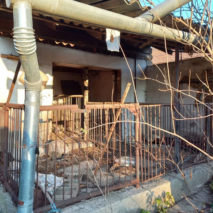 Vând casă cu teren