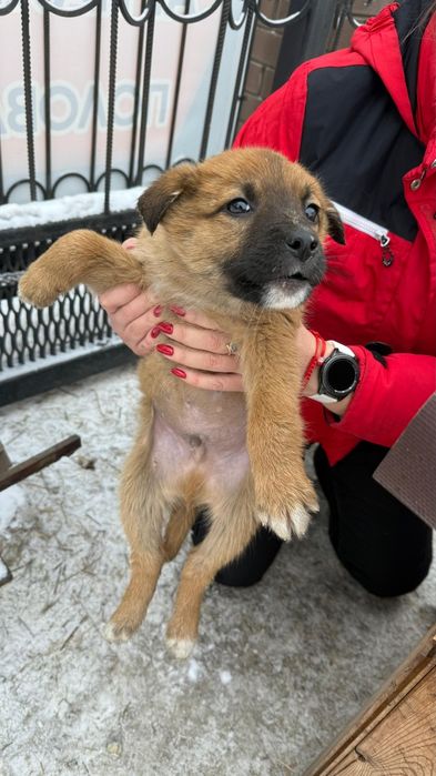 Актианые малыши мальчики и девочки
