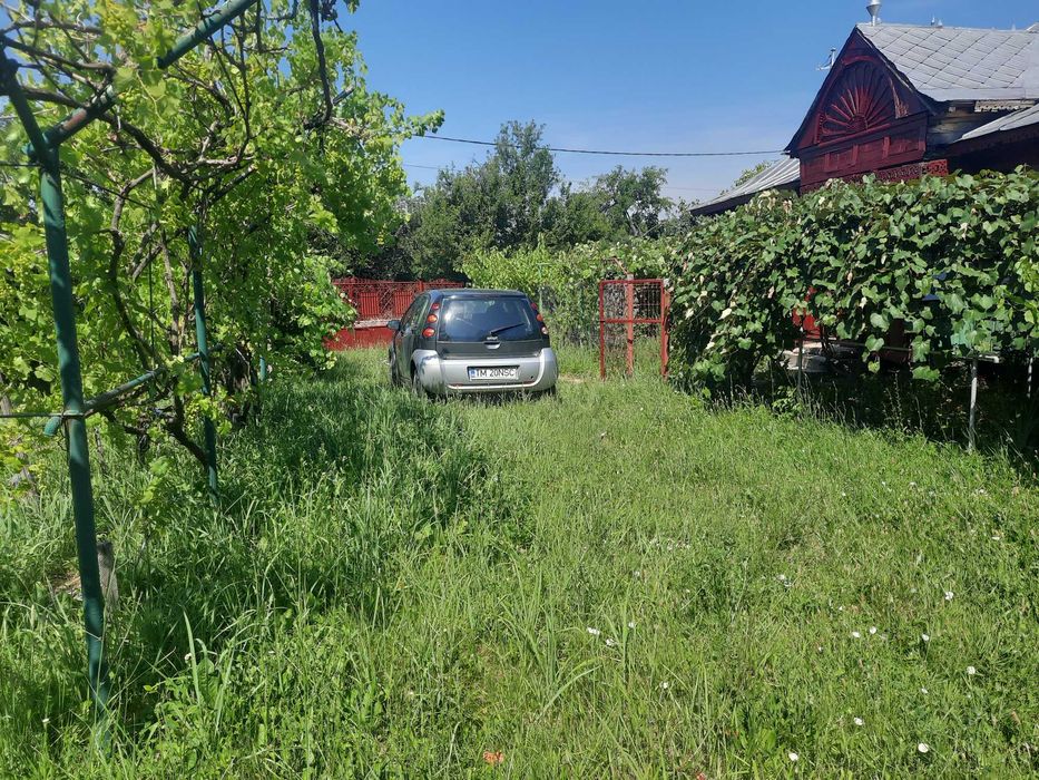 Casa cu 3 camere in Comuna Fagetelu Jud. Olt cu 8515 m2 teren ( 5975 m2 Intravilan, 140 m2 lac, 2400 m2 padure), totul compact, intr-un singur loc.