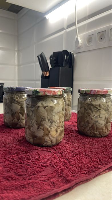 грибы маринованные