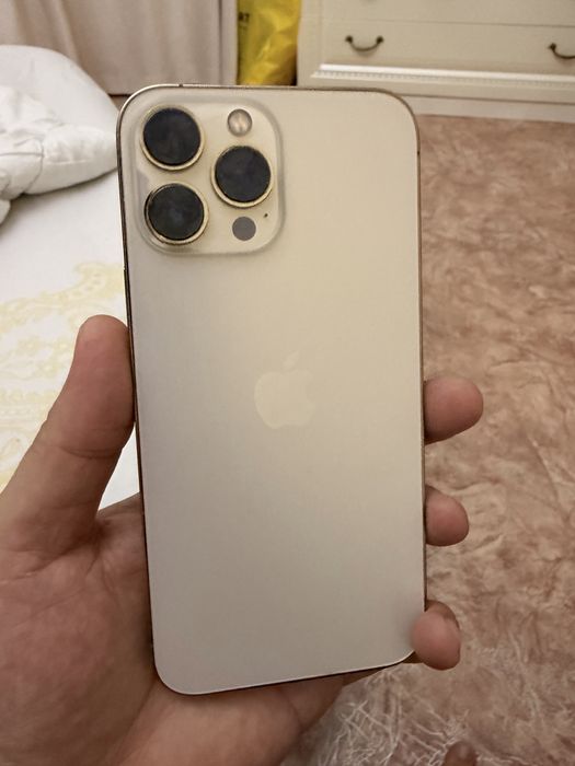 Iphone 13 pro max