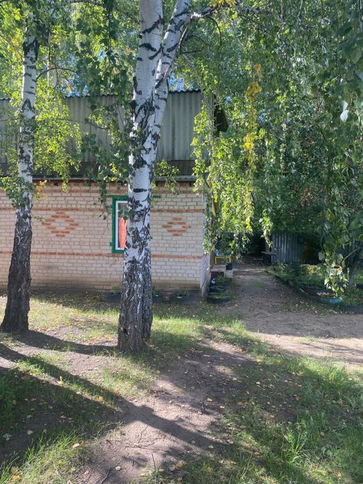 Дача новопавловка