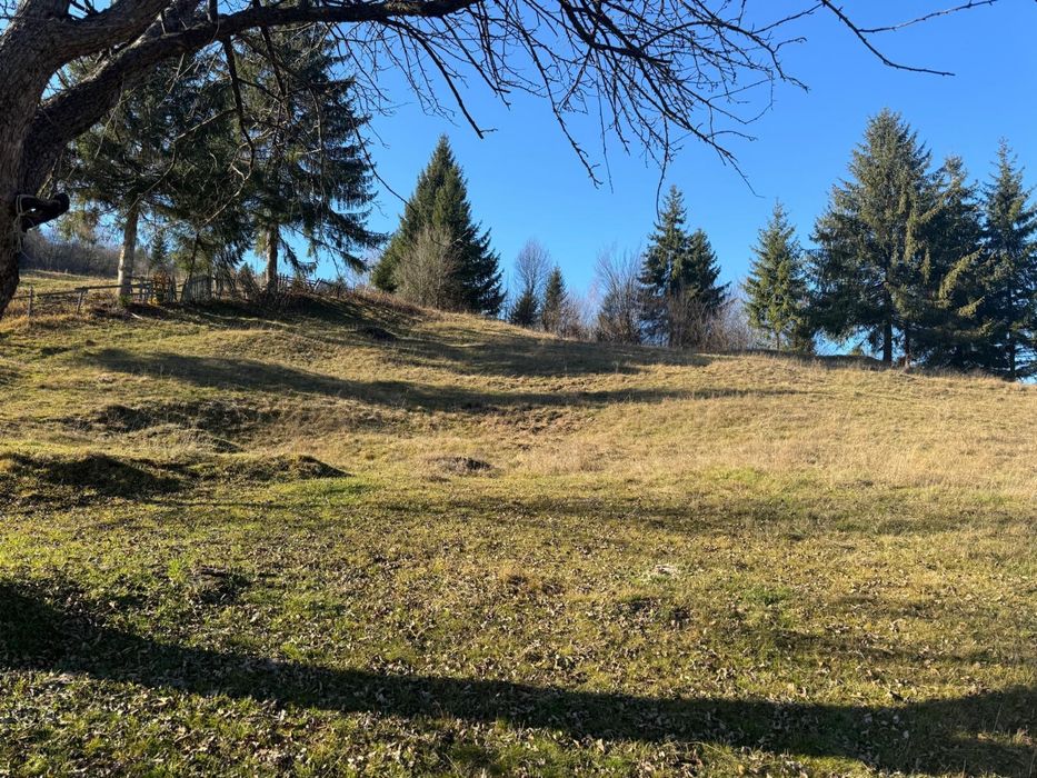 Teren de vanzare -Vama, 13.050 mp, Strâmtura