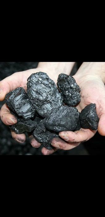 Угольные отборныи