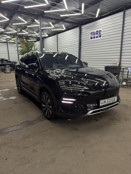 Byd song plus champion
