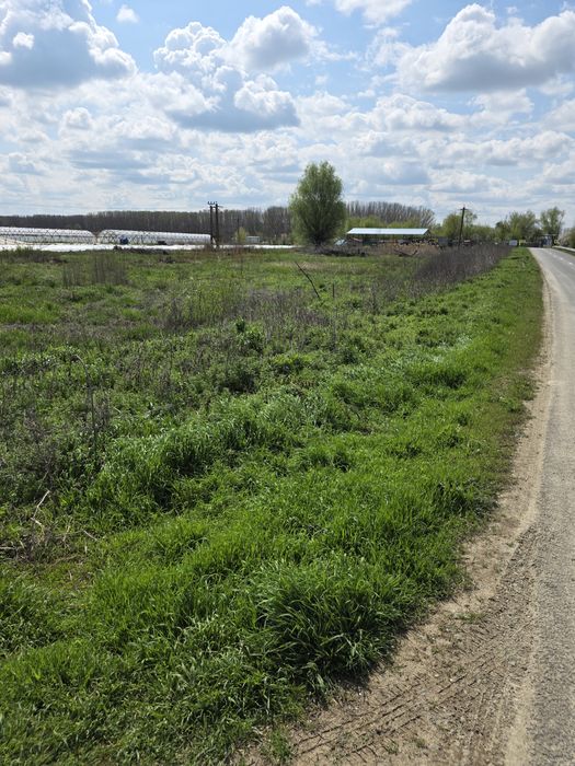 Loturi teren Zătun – deschidere la șosea | lângă Dunăre | poziție premium