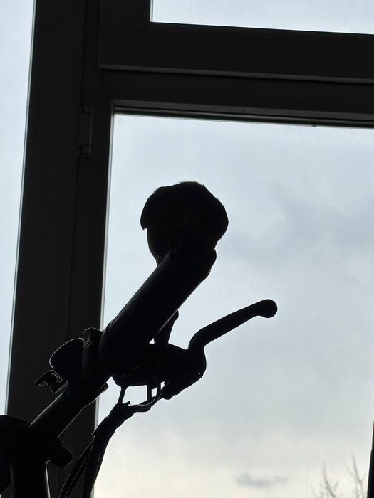 электровелик  HIMO C20