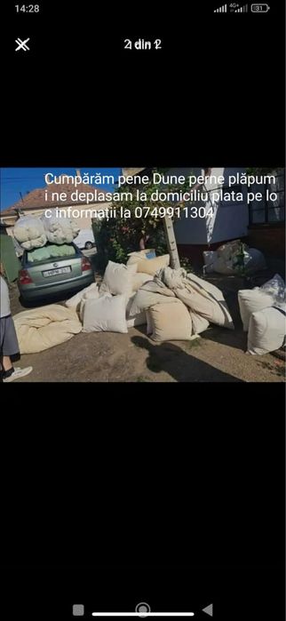 Achizitie de pene de gasca vechi