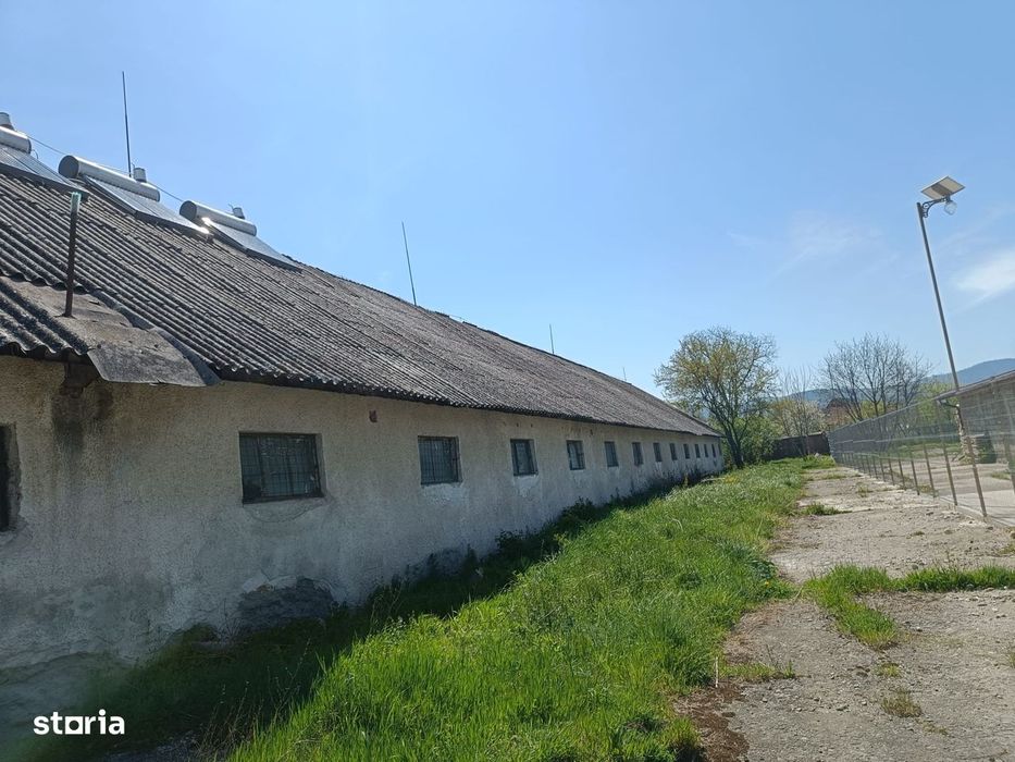 Hala situata in Budila, suprafata, 1000 mp, teren 3.416 mp, acces TIR!