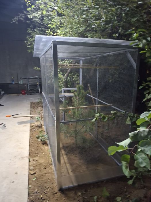 Kotta Valer sotiladi