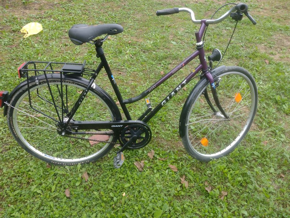 Biciclete Giant si Staiger