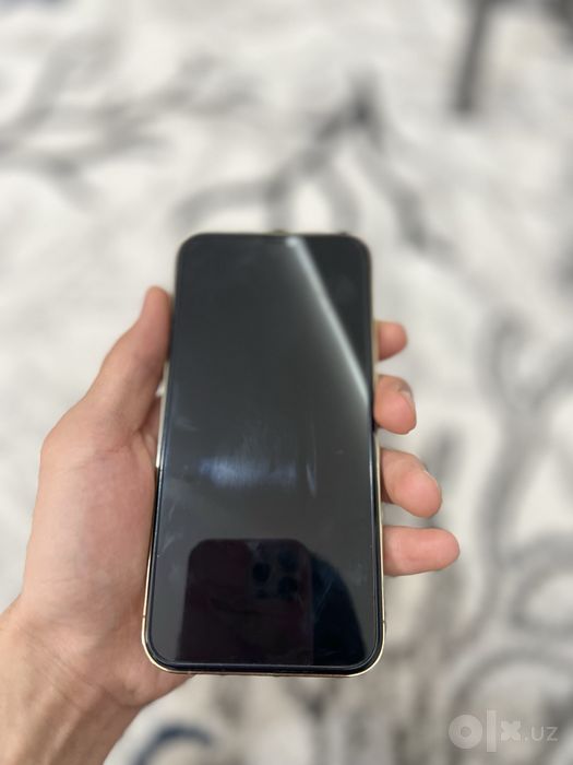 Iphone 12 pro maxx