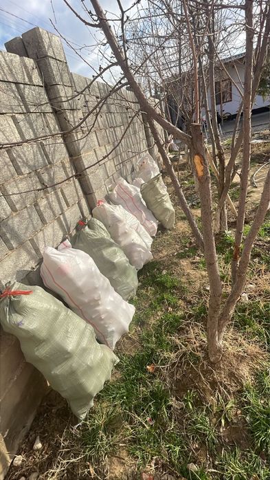 Баклашка сатылады таза уйдікі