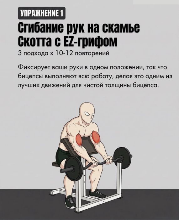 Скамья Скотта для тренировки бицепса