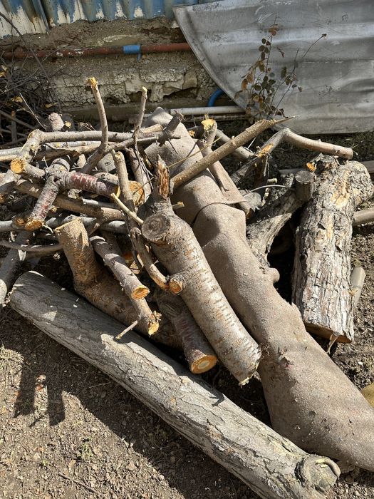 Дрова   готовые бесплатно самовывоз