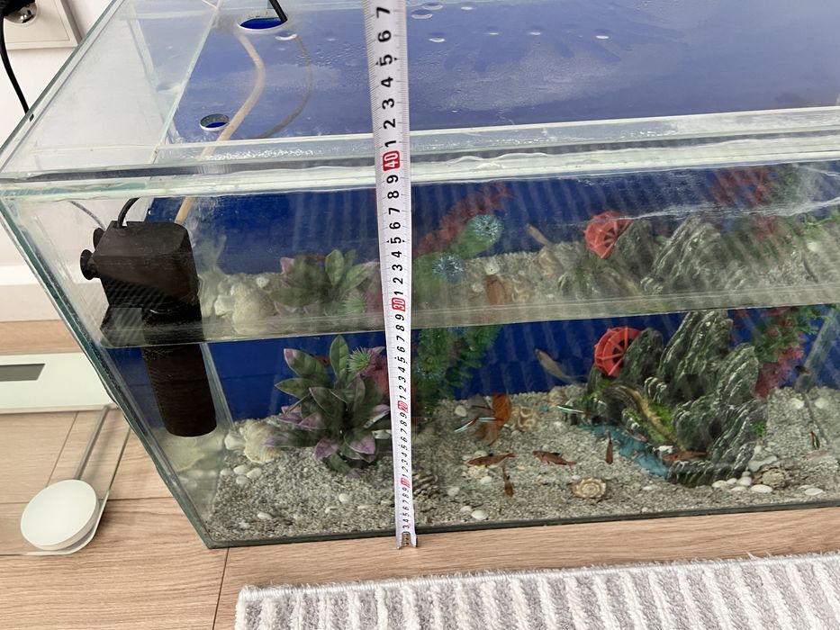 Аквариум с рыбками