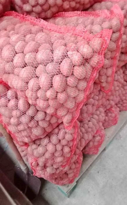 Vand cartofi samanta rosu