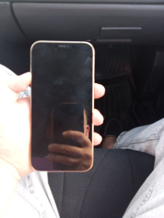iphone 12 pro max 256 gb