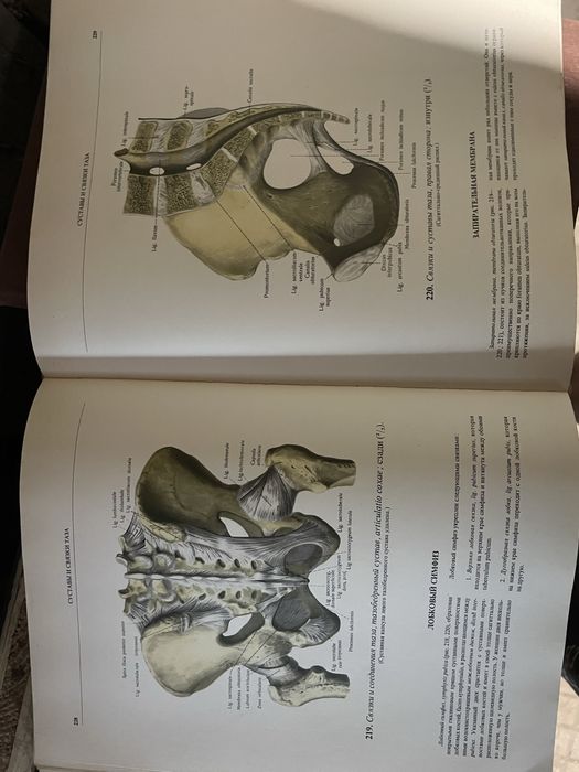 Carti Anatomia omului